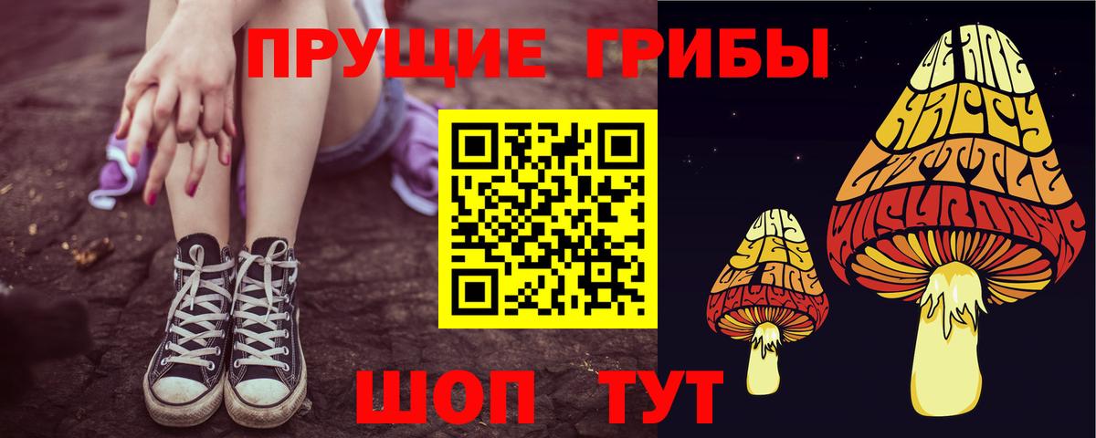 Псилоцибиновые грибы мицелий  Вход с VPN  как найти наркотики  Большой Камень 